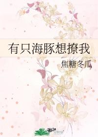 有只海豚想撩我